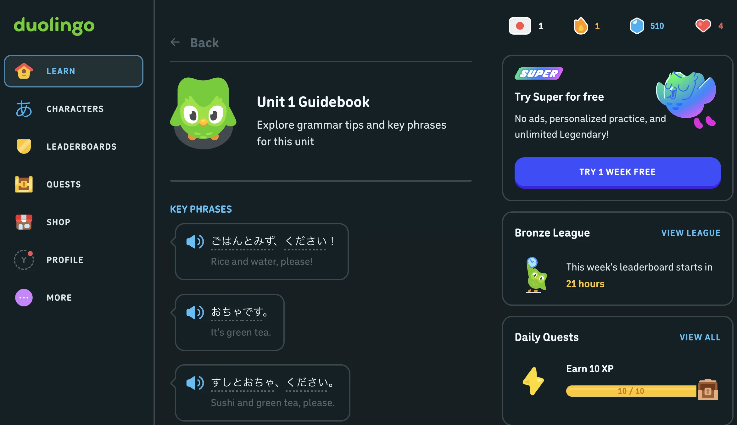 Duolingo Unit Guidebook screen showing key phrases